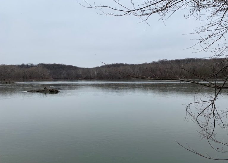 Fairfax County Parks are closed, trails remain open, virtual center launched
