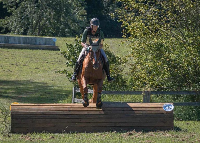 Grant approved to refurbish equestrian ring at Turner Farm Park