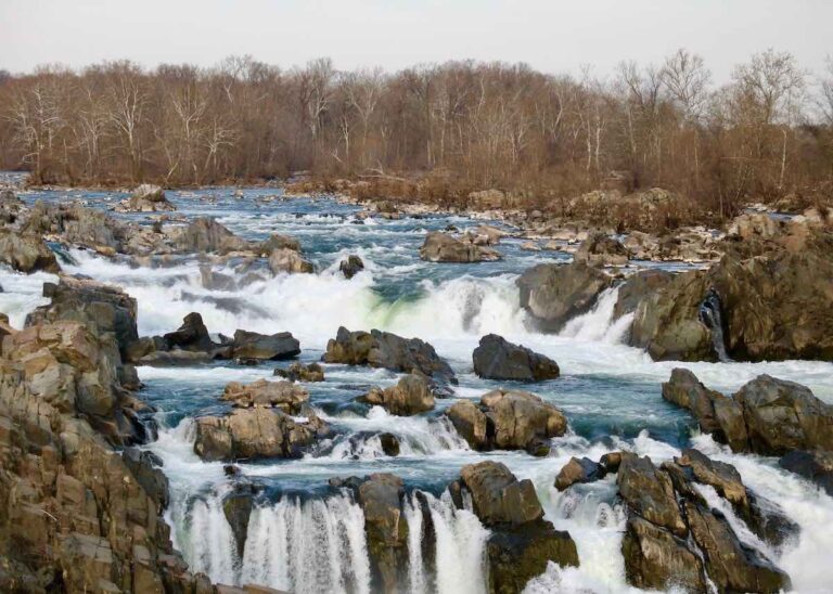 Parking lots at Great Falls Park are now open, as of May 23