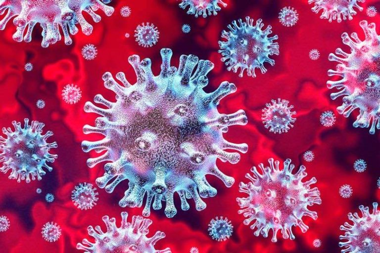 Fairfax Health District reports one-day high of 32 COVID-19 deaths, double the previous high