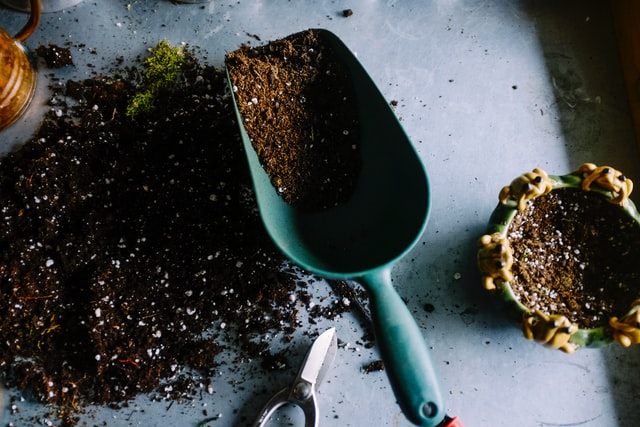 Composting at home during COVID-19 pandemic