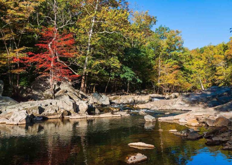 Gradual reopening of Great Falls Park offers respite from cabin fever