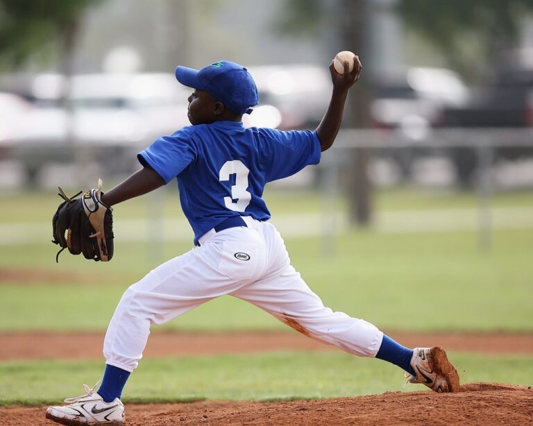Baseball is back in McLean