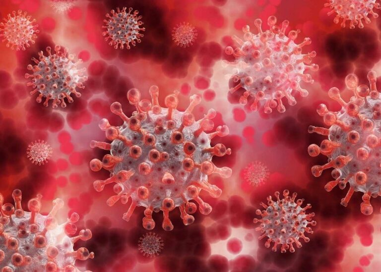George Mason professor discusses coronavirus spread