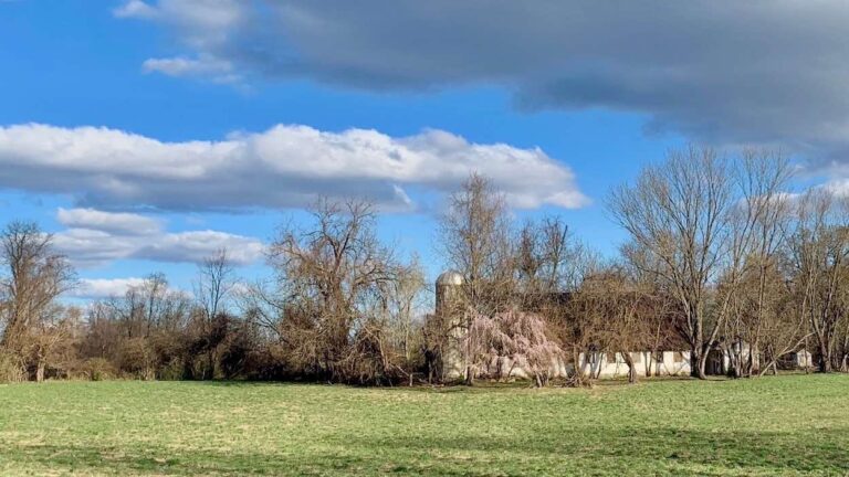 Plans edging closer for Marmota Farm development