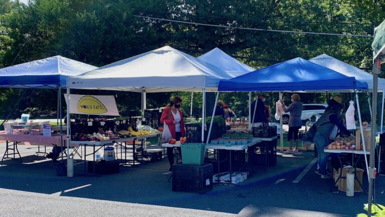 Great Falls Community Farmers Market enriches the pantry and the community