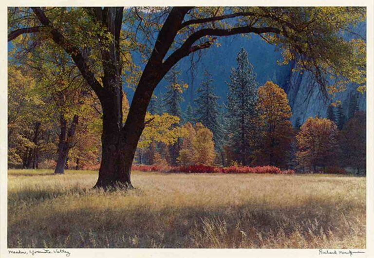 Online newsletter provides inspiration through art appreciation and learning