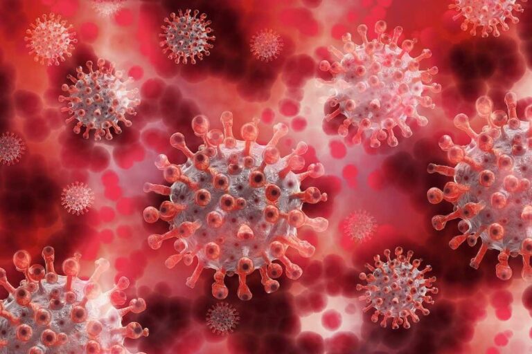 COVID-19 cases return to May levels in Fairfax County