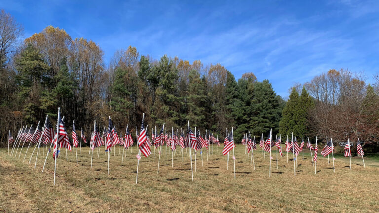 GFCA objects to American flag display constraints proposed in zMOD