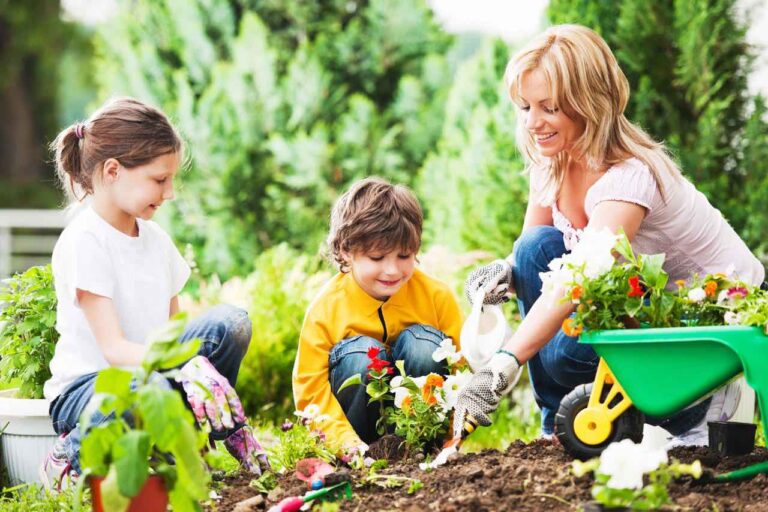 3 homeowners insurance tips to know before planting flowers or vegetables