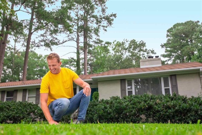 Spring awakening: 5 expert tips to renew your lawn