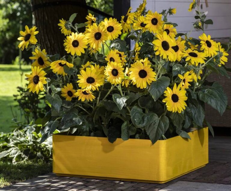 The future of gardening: information and inspiration