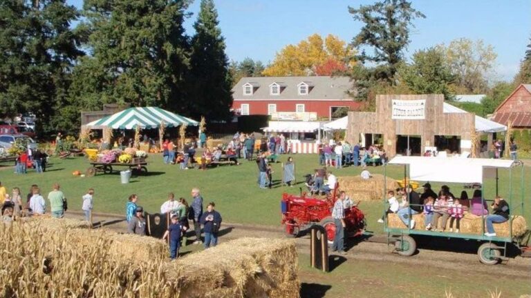 Fairfax County’s agritourism proposal and its potential impact on Great Falls