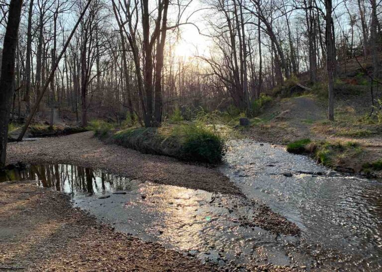 Fairfax County’s streams are hurting
