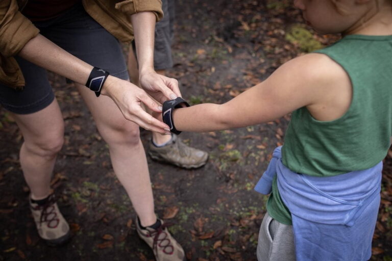 Natural solutions for pesky mosquitoes