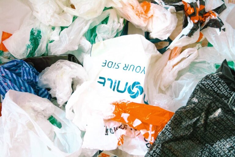Fairfax County to hold public hearing on proposed bag tax in September