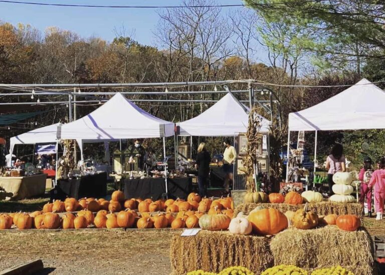 Krop’s Crops offers hayrides with its harvest decorations and activities
