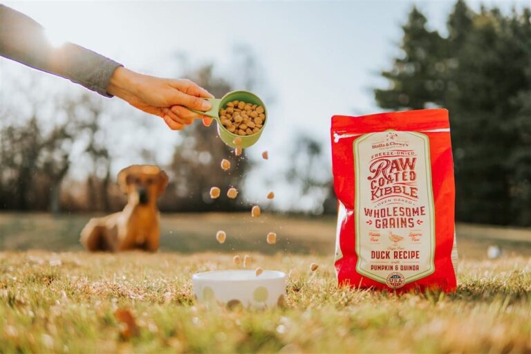 Top 5 things to look for when buying dog food