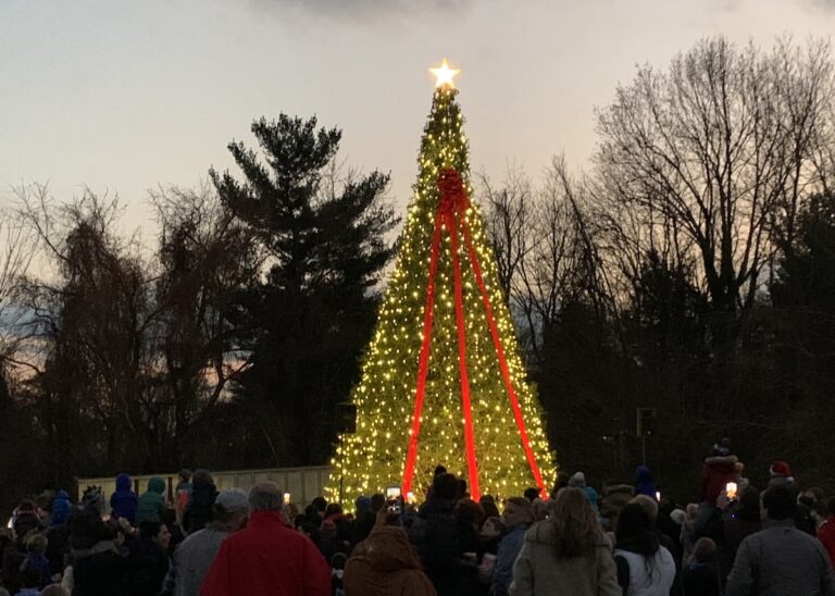 Celebration of Lights – Great Falls Tree Lighting 2022