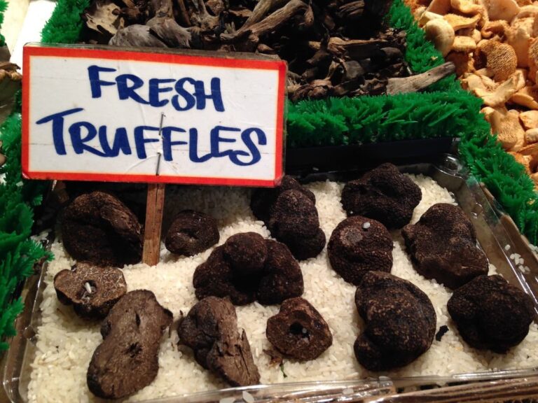 First Annual Virginia Truffle Fete