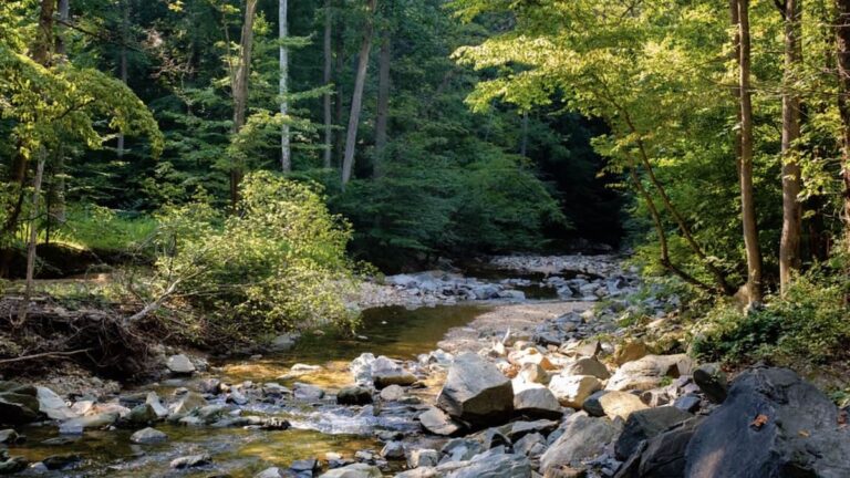 ￼Rules enforcement tightened at Scott’s Run Nature Preserve 