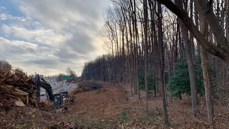 Virginia neighbors fight tree slaughter along Beltway